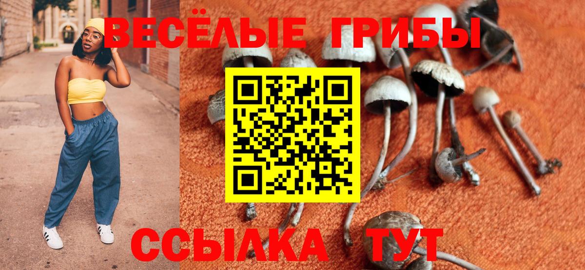 Галлюциногенные грибы мицелий Салехард