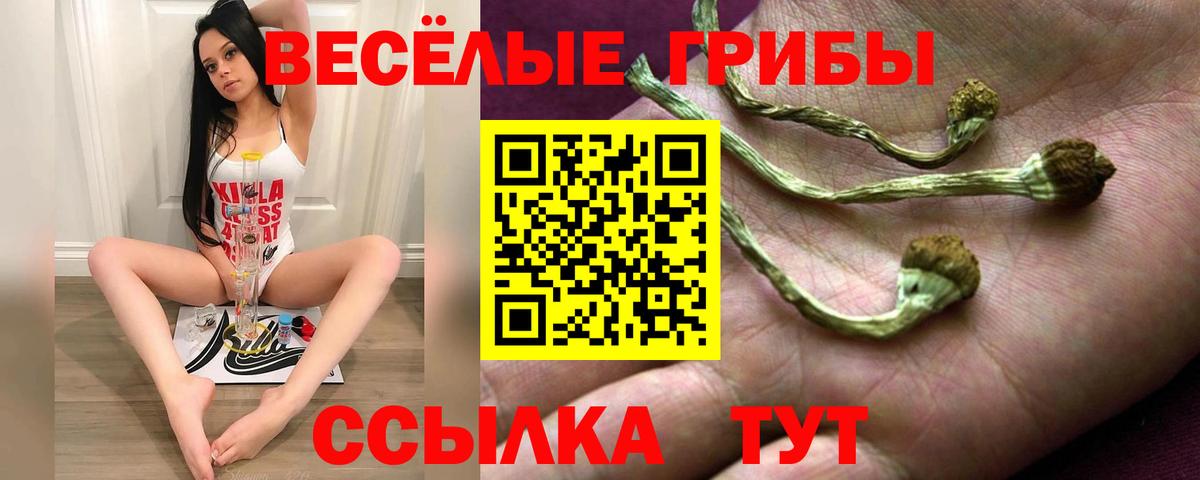 Галлюциногенные грибы мухоморы  Вход с VPN  наркотики  Салехард 